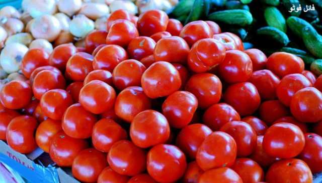 لاہور میں ٹماٹر کی قیمتوں میں بے تحاشا اضافہ، سرکاری نرخ سے 120 روپے زیادہ فروخت