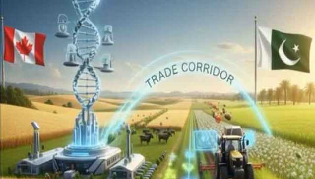 پاکستان اور کینیڈا کا ہائبرڈ بیج، لائیو اسٹاک کی افزائش میں تعاون بڑھانے پر غور