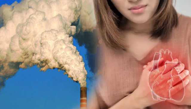 نئی تحقیق: فضائی آلودگی دل کی شریانوں میں رکاوٹ اور امراضِ قلب کے خطرے کو بڑھاتی ہے