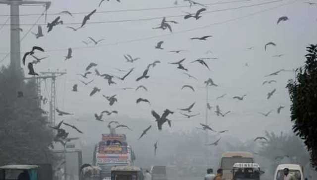 وزیراعلیٰ پنجاب کے موثر اقدامات کے نتیجے میں لاہور کا فضائی معیار بہتر