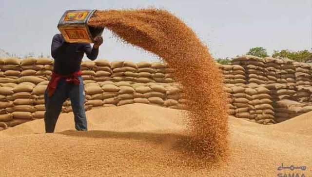 آئندہ سیزن گندم کا سرکاری ریٹ 3500 روپے من مقرر کیئے جانے کا امکان