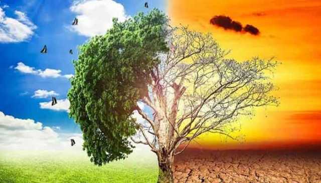 پاک برطانیہ ماحولیاتی تبدیلی تعاون کے منصوبے پر معاہدہ