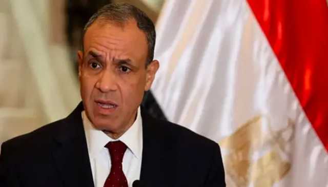 غزہ میں بین الاقوامی امن فورس کی ضرورت، امن مسلط کرنے کے لیے نہیں،مصری وزیرِ خارجہ