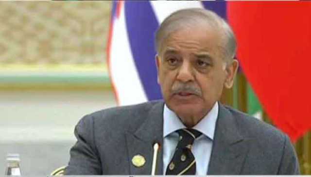 دہشتگردی کا نیا خطرہ افغانستان سےسر اٹھا رہا ہے، شہباز شریف