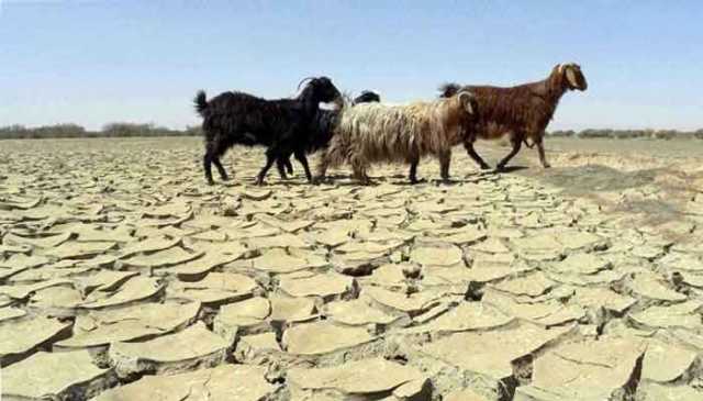 کم بارشیں، بلوچستان میں خشک سالی کی صورتحال میں شدت آنے کا خدشہ