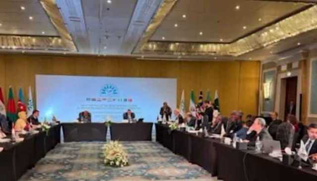 پاکستان اور مصر کا مشترکہ معاشی لائحہ عمل پر اتفاق