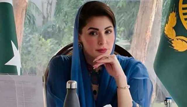 وزیراعلیٰ پنجاب، تعلیمی اداروں کے باہر ڈیجیٹل نگرانی، کیمروں کی تنصیب کا حکم