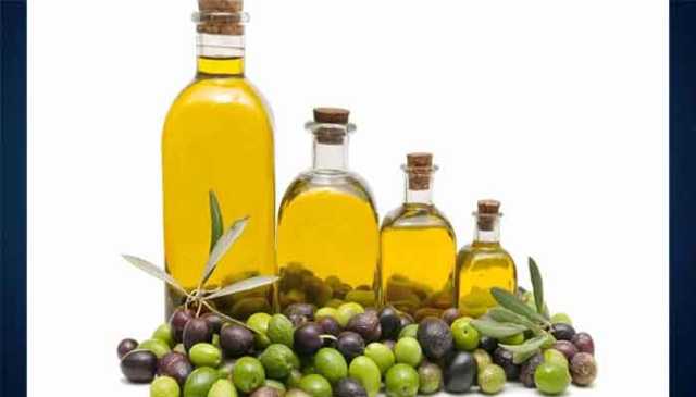 7واں گرینڈ نیشنل زیتون گالا 12 تا 14 دسمبر اسلام آباد میں ہوگا