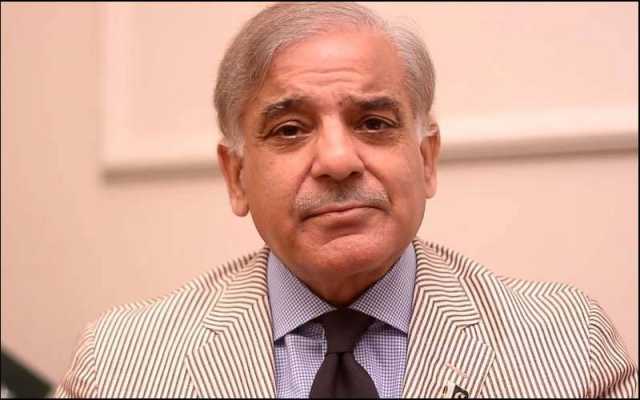 شہبازشریف نے بجلی صارفین کو بڑی خوشخبری سنا دی 