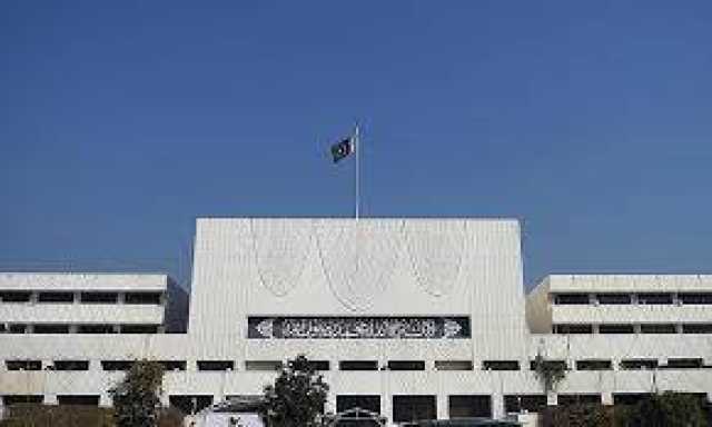 سینیٹ کی قائمہ کمیٹی قانون و انصاف کا اجلاس، دیت کی رقم دو کلو سونے کے برابر مقرر کرنے کی تجویز