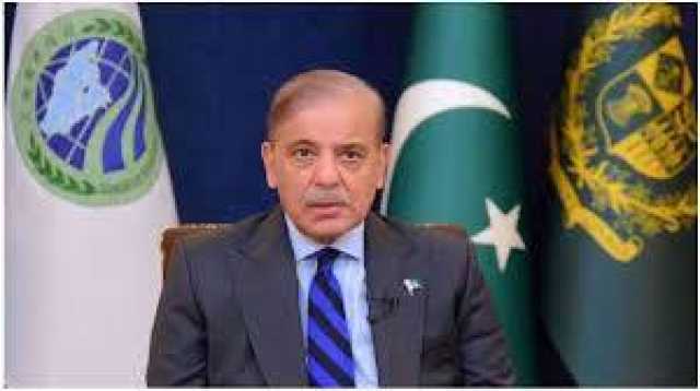 پاکستان اور بھارت نے سیز فائر کا فیصلہ کر لیا: وزیر اعظم شہباز شریف