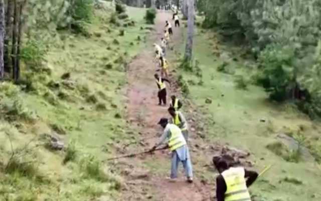 پنجاب؛ یومیہ اجرت پر جنگلوں میں کام کرنے والے مزدوروں کی ادائیگی کیلیے جدید نظام متعارف