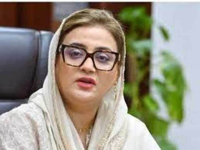 ''مریم نواز آٹا، پیاز، ٹماٹر، سبزیوں کی قیمتیں کم کرنے ہی آئی ہیں، ،