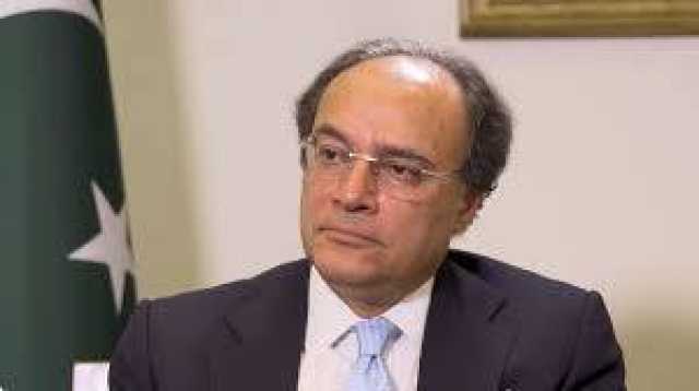 بجٹ میں نچلے اور تنخواہ دار طبقے کو جتنا ریلیف دے سکتے تھے دیا ہے: وزیرخزانہ