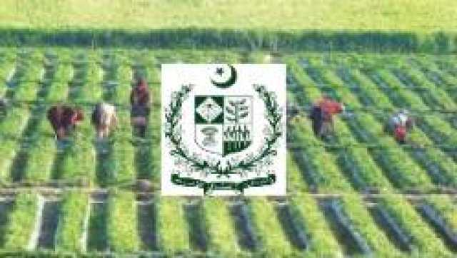 حکومت نے 2 اہم محکموں کو ضم کر کے نیشنل ایگری-ٹریڈ اینڈ فوڈ سیفٹی اتھارٹی قائم کر دی