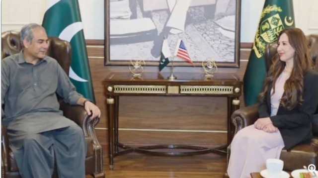 وزیر داخلہ محسن نقوی سے قائم مقام امریکی سفیر کی ملاقات، دہشتگردانہ حملوں کی مذمت