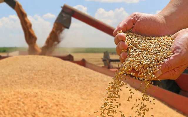 فلور ملز ایسوسی ایشن نے گندم درآمد کرنےکی حکومتی پیشکش مسترد کر دی
