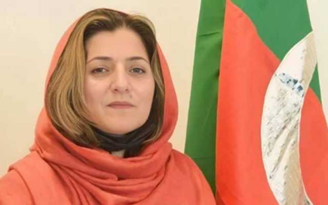 پی ٹی آئی کی خاتون سینیٹر فلک ناز کے ساتھ مالی فراڈ میں ملوث 2 ملزمان گرفتار