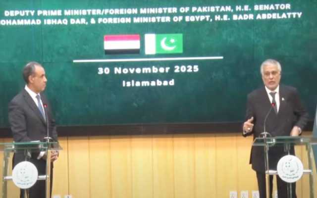پاکستان اور مصر دہشت گردی کیخلاف متحد، دفاعی و معاشی شراکت داری پر اتفاق