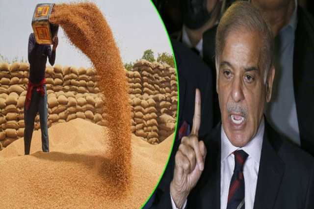 وفاقی حکومت نے گندم پالیسی 26-2025 کی منظوری دیدی،کسانوں کو مناسب قیمت دینے کا فیصلہ