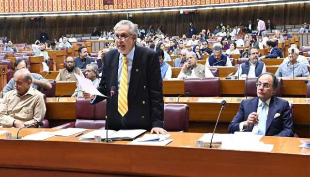پاک فضائیہ فضاوں کی کنگ، ہم کسی ملک کی برتری کو تسلیم نہیں کرتے، نائب وزیراعظم اسحاق ڈار