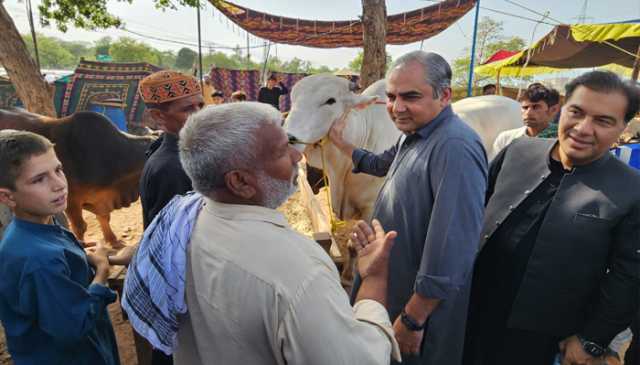 وزیرداخلہ محسن نقوی کا عید الاضحی کے موقع پر ایکسپریس وے پر قائم بکر منڈی کا دورہ، پارکنگ کے لئے ایریا مختص اور فی جانور فیس میں مناسب کمی کا حکم