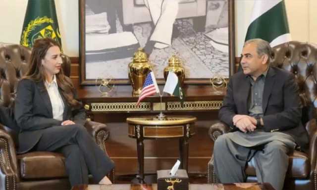 پاکستان اور بھارت میں بڑھتی کشیدگی، وزیر داخلہ سے قائم مقام امریکی سفیر کی ملاقات