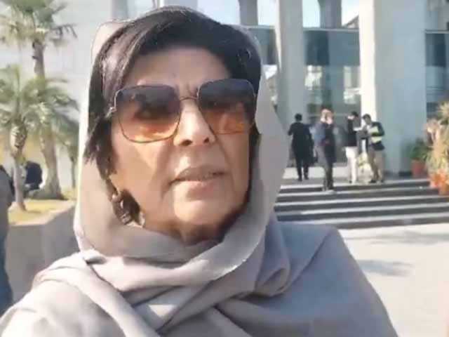 پارٹیچیئرمین عمران خان ،بیرسٹر گوہر صرف پیغام رسانی کیلیے ہیں، عظمی خان