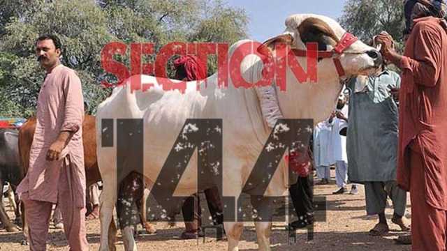 عید الاضحیٰ: پنجاب بھر میں دفعہ 144 نافذ، متعدد پابندیاں عائد