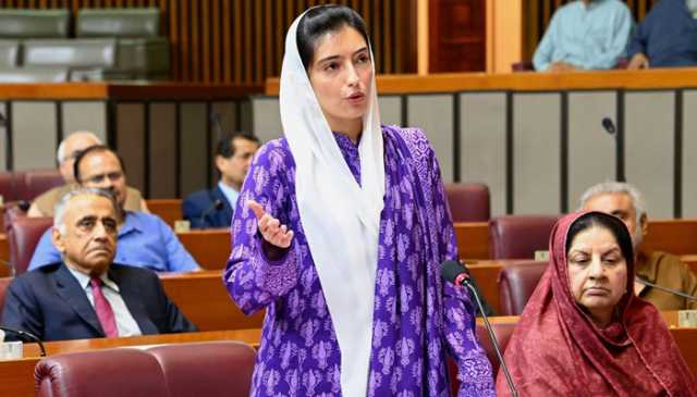 بلاول نے مشکل وقت میں پاکستان کی دنیا میں نمائندگی کی: آصفہ بھٹو