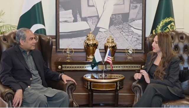 وزیر داخلہ سے امریکی سفیر کی ملاقات، خطے میں قیام امن کیلئے پاکستانی کوششوں کی تعریف
