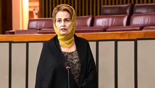 سوات سانحہ مجرمانہ غفلت کا نتیجہ ہے، ذمہ داروں کو کٹہرے میں لایا جائے ، فرخ خان