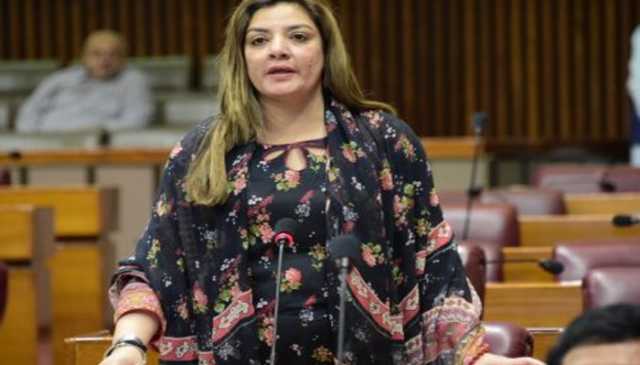 رکن قومی اسمبلی صبحین غوری نے بجٹ کو عوام دشمن اور آئی ایم ایف کا بجٹ قرار دیدیا