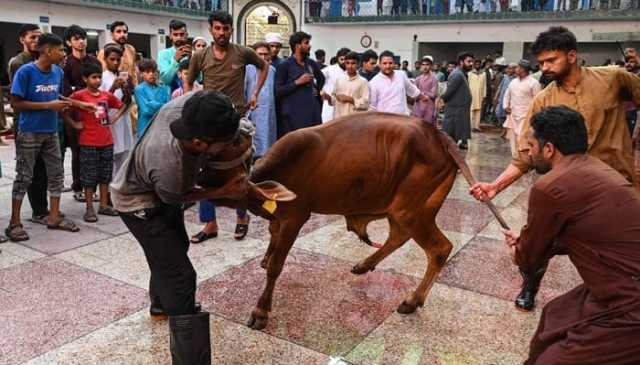 ملک بھر میں عیدالاضحیٰ مذہبی عقیدت و احترام کے ساتھ منائی جا رہی ہے