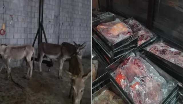 اسلام آبادمیں گدھے کے گوشت کی برآمدگی کا مقدمہ درج، ہوشربا انکشافات