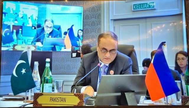 بھارت کو ایک بار پھر منہ کی کھانی پڑی، پاکستانی ایڈیشنل فارن سیکریٹری نے تارے دکھا دیے
