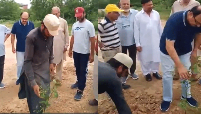 شہر کو صاف رکھنے کا عزم،آئی سی سی نے شجرکاری مہم کا آغاز کر دیا