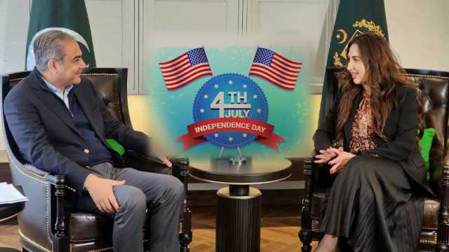 وفاقی وزیر داخلہ کی امریکی عوام اور سفارتی حکام کو یوم آزادی پر مبارکباد