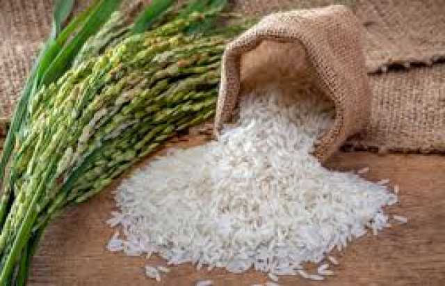پاکستان اور چین کے سائنسدانوں نے مِل کر چاول کی نئی ہائبرڈ قسم تیار کرلی