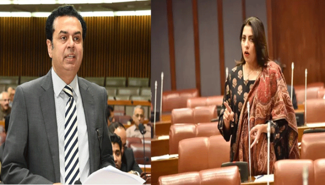 سینیٹ اجلاس: پلوشہ خان اور طلال چوہدری میں تلخ جملوں کا تبادلہ