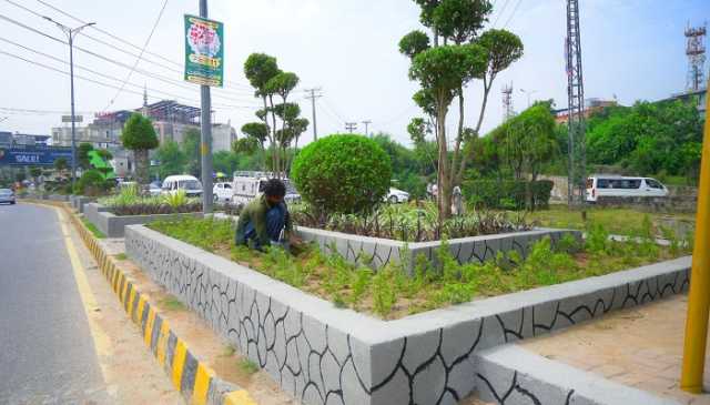 پی ایچ اے راولپنڈی کا مری روڈ کو جاذبِ نظر اور سرسبز بنانے کا منصوبہ جاری