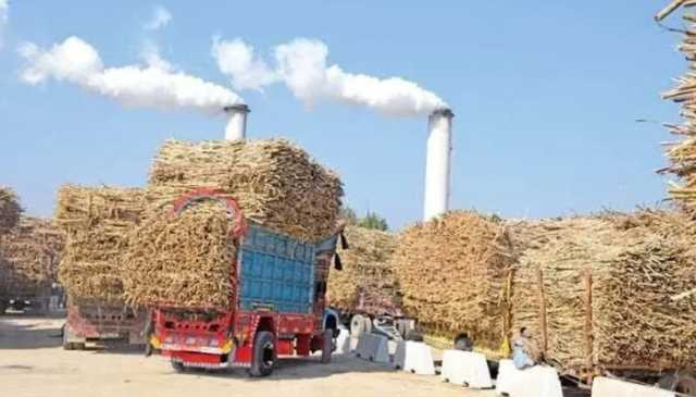 کون کون سی سیاسی شخصیات کس شوگر مل میں حصے دار ہیں ، تفصیلات سب نیوز پر