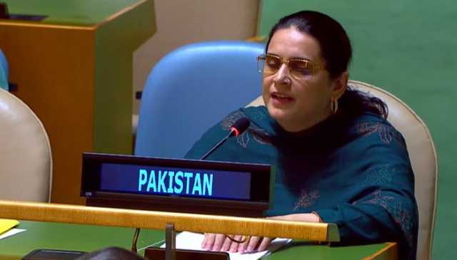بھارت دہشتگردوں کی مالی و عسکری سرپرستی، کشمیر میں ظلم چھپا نہیں سکتا: پاکستان
