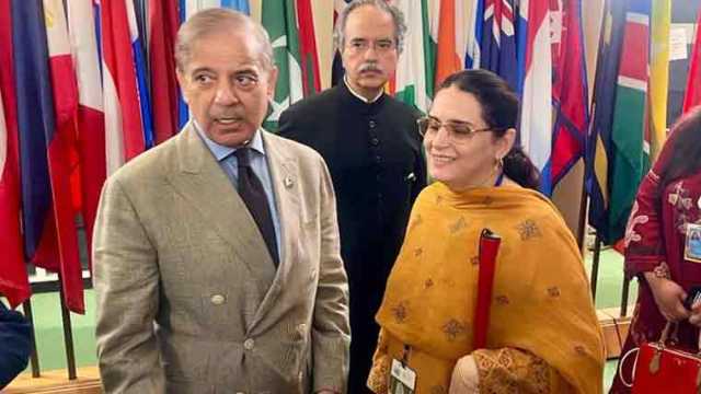 بھارت پراکسیز کے ذریعے خطے میں بدامنی پھیلا رہا: پاکستان کا یواین میں دو ٹوک جواب
