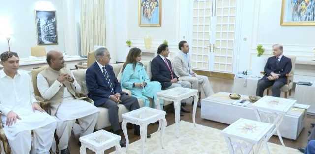 پنجاب میں پاور شیئرنگ، بلدیاتی قانون سازی پر ڈیڈلاک: پیپلز پارٹی اور ن لیگ کی ملاقات بے نتیجہ
