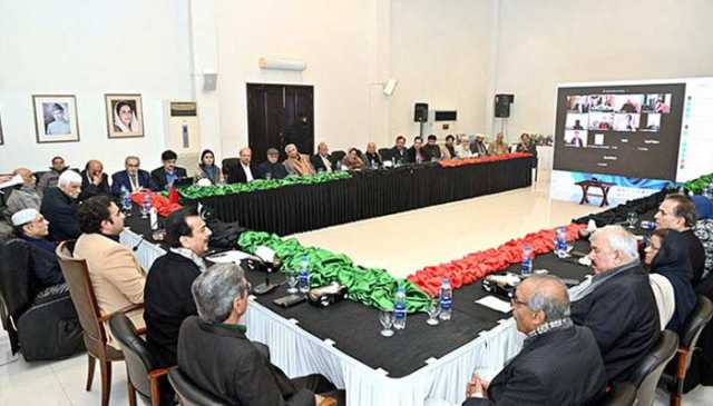 پیپلز پارٹی کی سینٹرل ایگزیکٹو کمیٹی کا پنجاب حکومت کے رویئے پر تحفظات کا اظہار