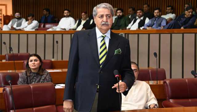 مریم نواز کے بیانات کے خلاف پیپلز پارٹی کا قومی اسمبلی اجلاس سے واک آؤٹ