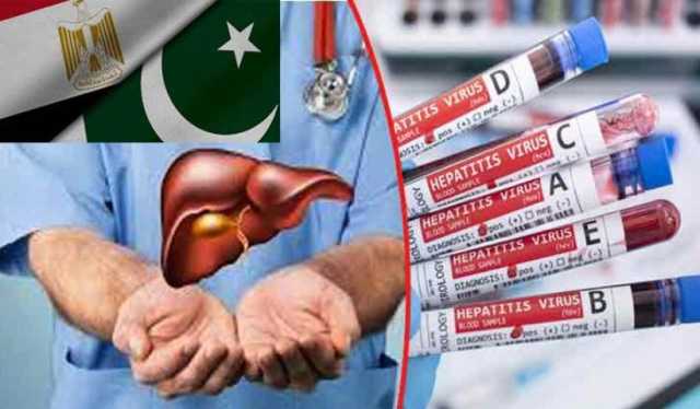 وزیراعظم انسداد ہیپاٹائٹس پروگرام، مصر کا پاکستان کو ادویات کا عطیہ