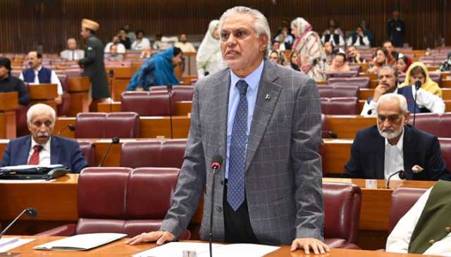 امریکی صدر نے غزہ کے امن کیلئے جو 20 نکات پیش کئے وہ ہمارے نہیں: نائب وزیراعظم