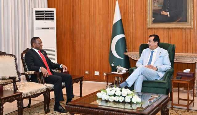 قائم مقام صدر سید یوسف رضا گیلانی سے ایتھوپیا کے سفیر ڈاکٹر جمال بکر عبداللہ کی الوداعی ملاقات